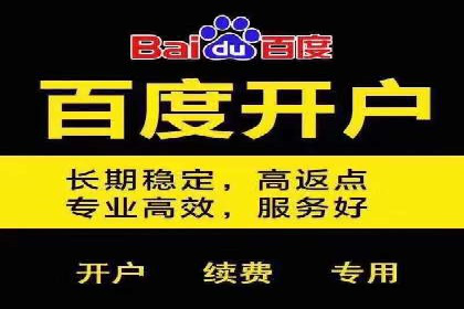 百度推广代理商服务优势案例分析